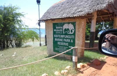 Kisite Mpunguti Marine Park, Wasini Island