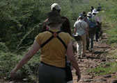 Trekking Safaris Kenya